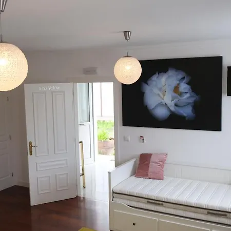 Hotel La Casa De Camelias Busto