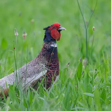 La Casa De Camelias 3* Busto