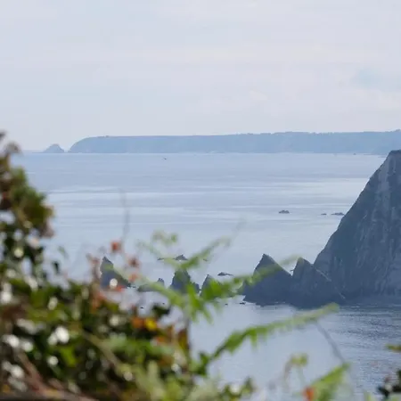 Hotel La Casa De Camelias 3*