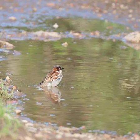 La Casa De Camelias Hotel 3*