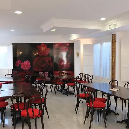 La Casa De Camelias 3*