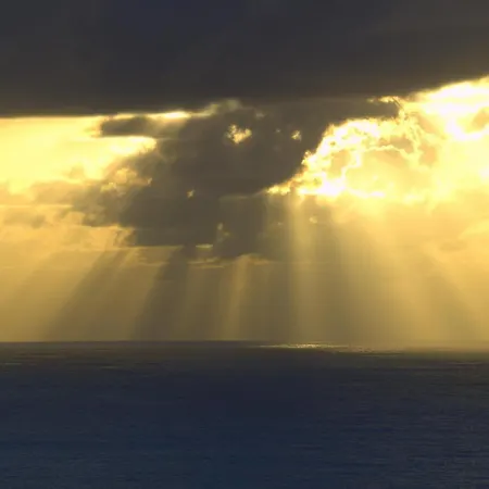 La Casa De Camelias فندق