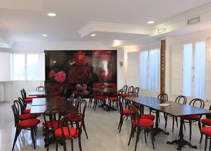 La Casa De Camelias 3*