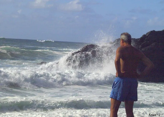 Hotel La Casa De Camelias Busto