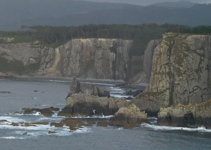 La Casa De Camelias Hotel