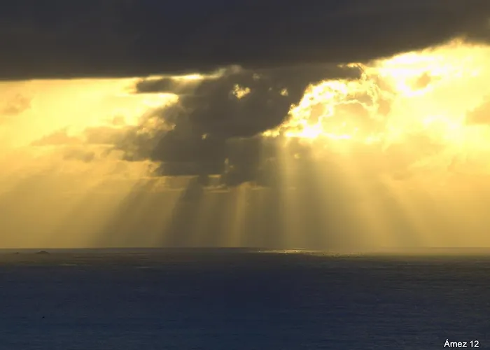 La Casa De Camelias Hotel