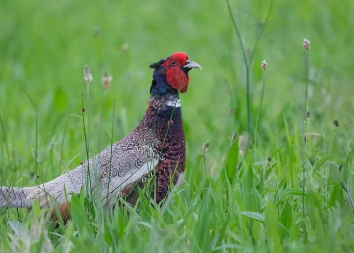 La Casa De Camelias 3* Busto
