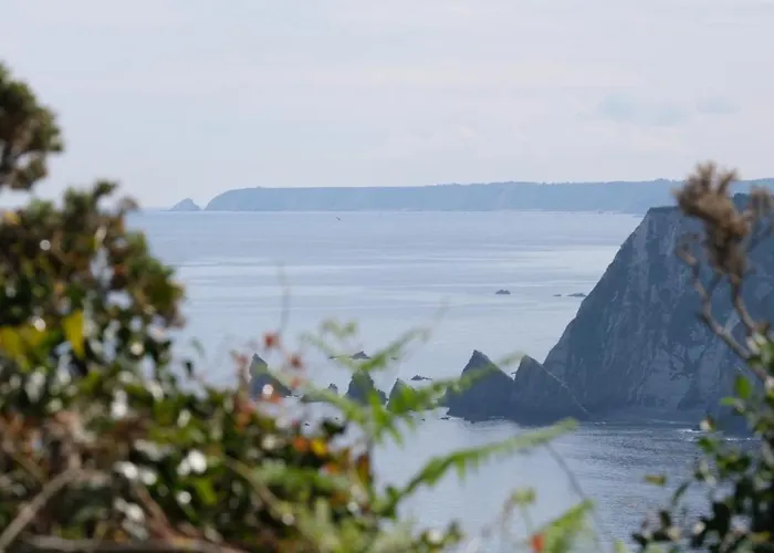 Hotel La Casa De Camelias 3*