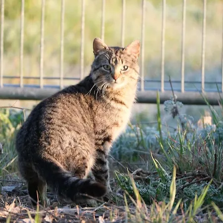 La Casa De Camelias Hotel 3*